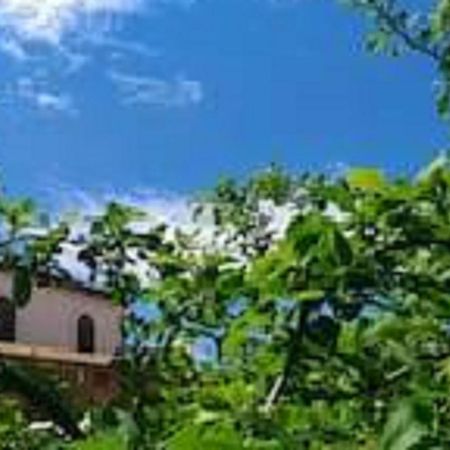 Il Gelsomino Home Holiday Alcamo Exterior photo
